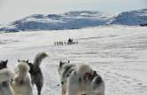 Passeio de dogsleding nas lindas paisagens de Ilulissat, na Groelândia